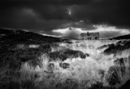 Dereliction